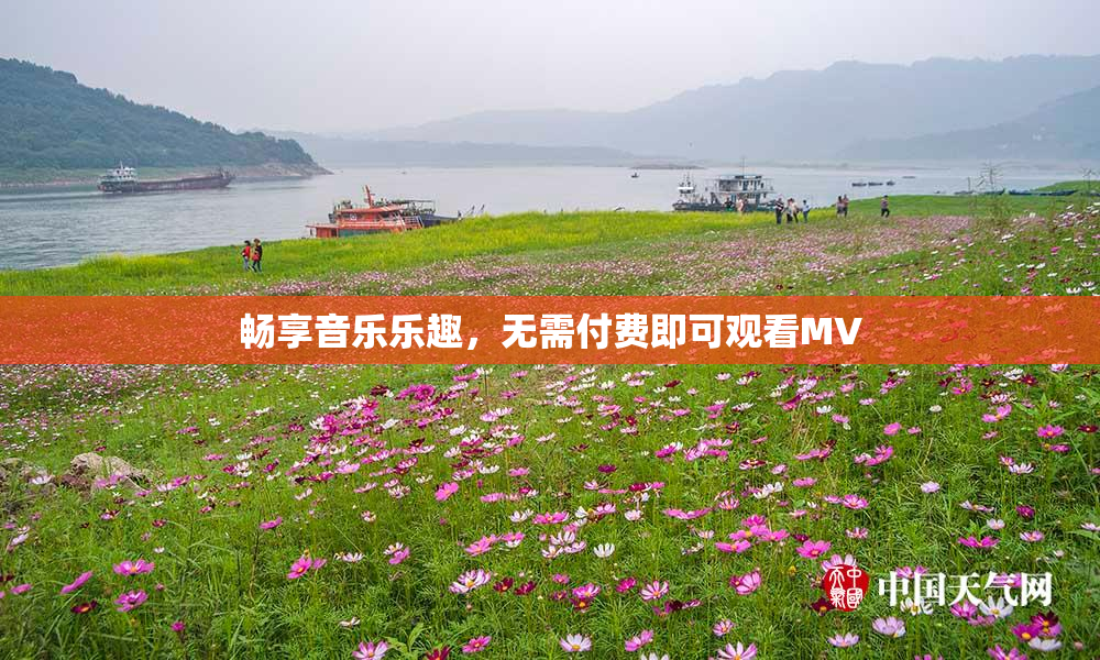 畅享音乐乐趣，无需付费即可观看MV