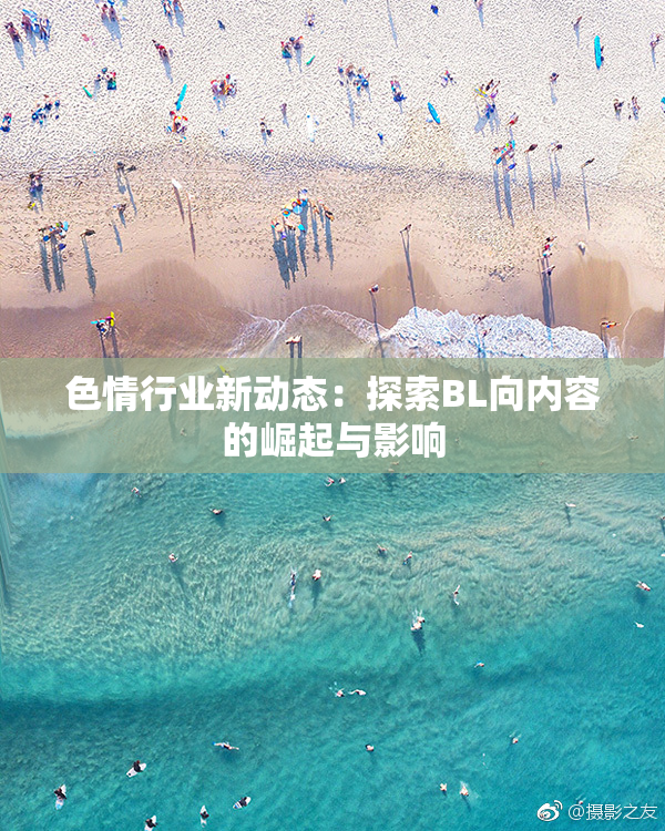 色情行业新动态：探索BL向内容的崛起与影响