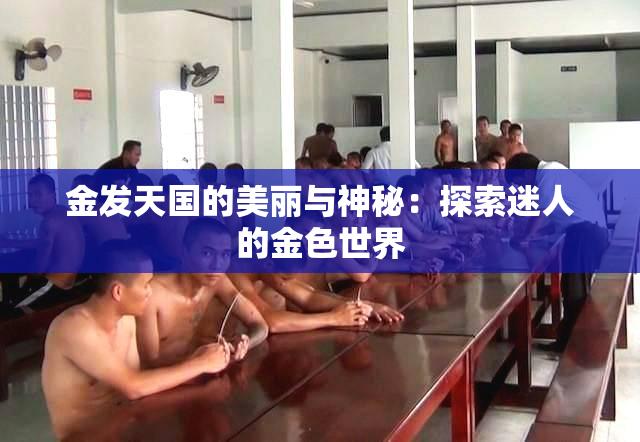 金发天国的美丽与神秘：探索迷人的金色世界