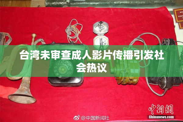 台湾未审查成人影片传播引发社会热议