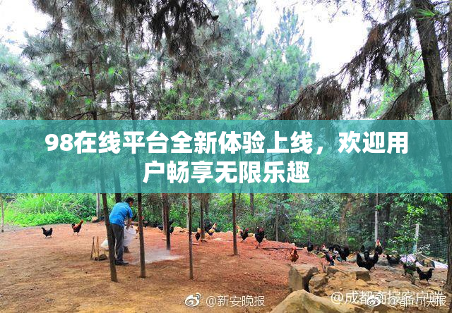 98在线平台全新体验上线，欢迎用户畅享无限乐趣