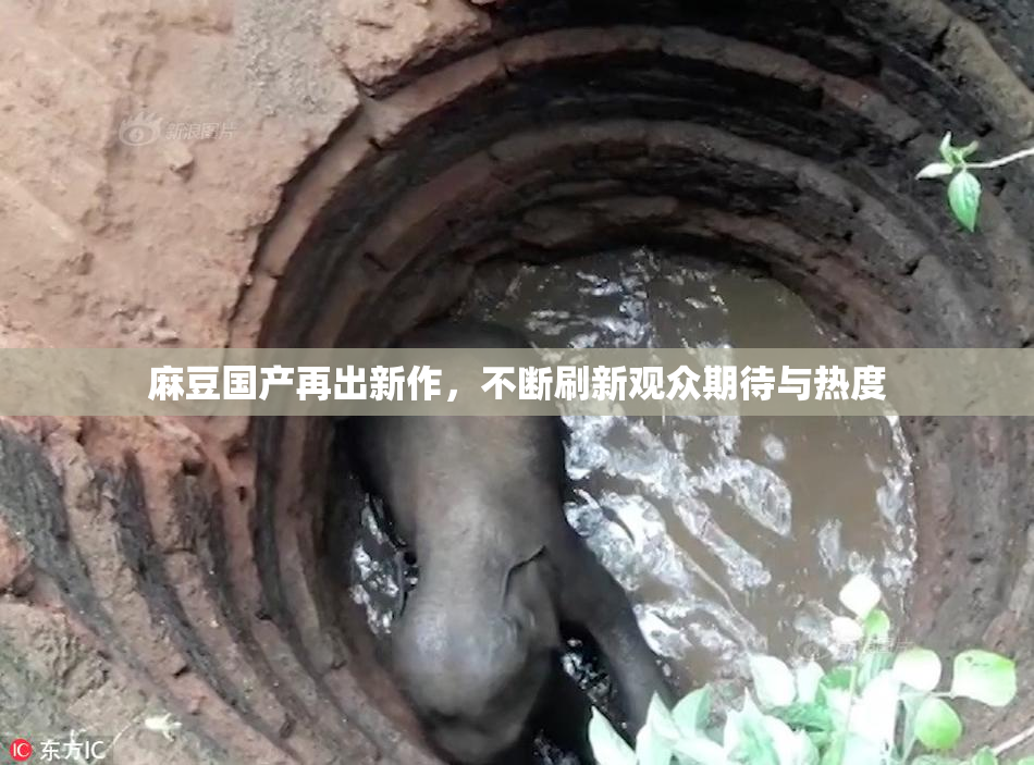 麻豆国产再出新作，不断刷新观众期待与热度