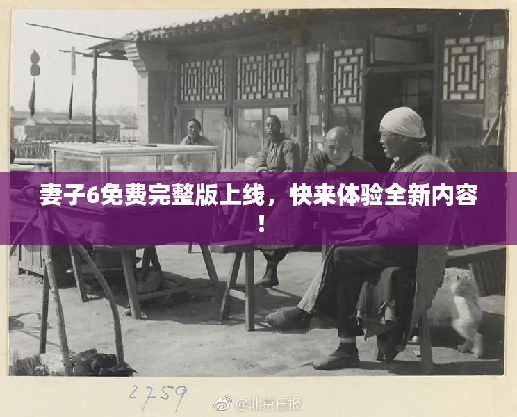 妻子6免费完整版上线，快来体验全新内容！