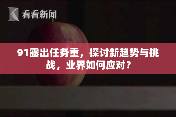 91露出任务重，探讨新趋势与挑战，业界如何应对？