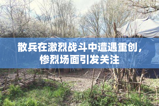 散兵在激烈战斗中遭遇重创，惨烈场面引发关注