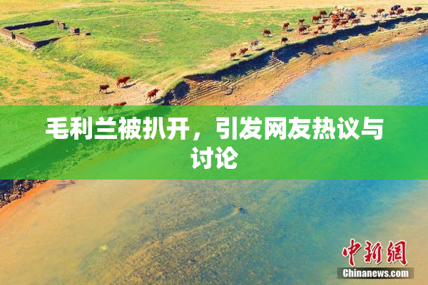 毛利兰被扒开，引发网友热议与讨论