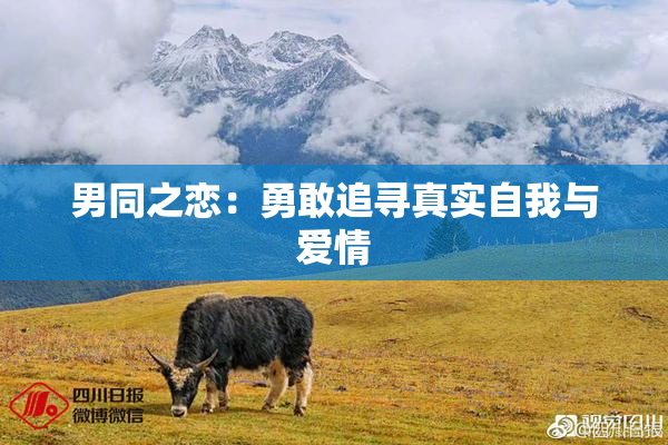 男同之恋：勇敢追寻真实自我与爱情