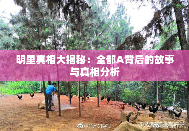明里真相大揭秘：全部A背后的故事与真相分析