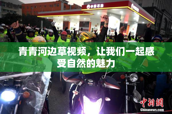 青青河边草视频，让我们一起感受自然的魅力