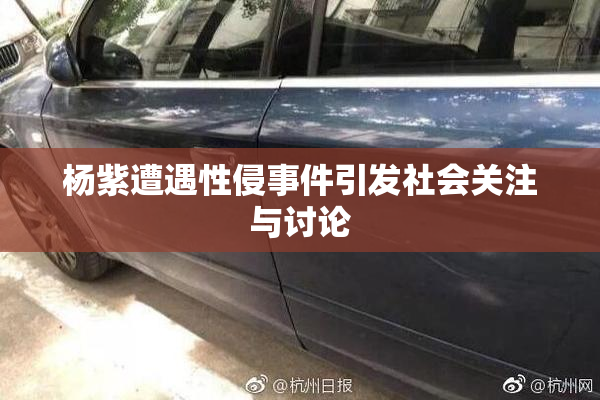 杨紫遭遇性侵事件引发社会关注与讨论
