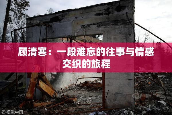 顾清寒：一段难忘的往事与情感交织的旅程