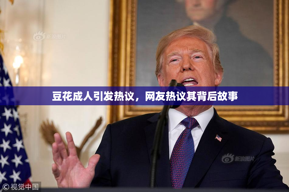 豆花成人引发热议，网友热议其背后故事