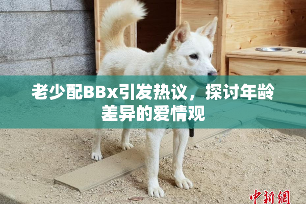 老少配BBx引发热议，探讨年龄差异的爱情观