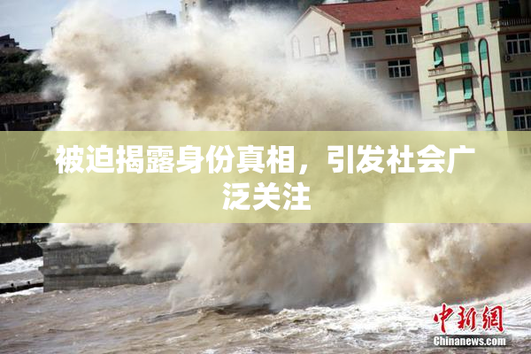 被迫揭露身份真相，引发社会广泛关注