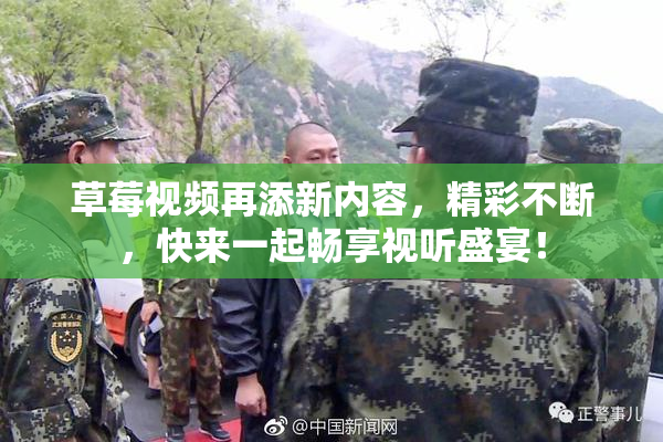 草莓视频再添新内容，精彩不断，快来一起畅享视听盛宴！