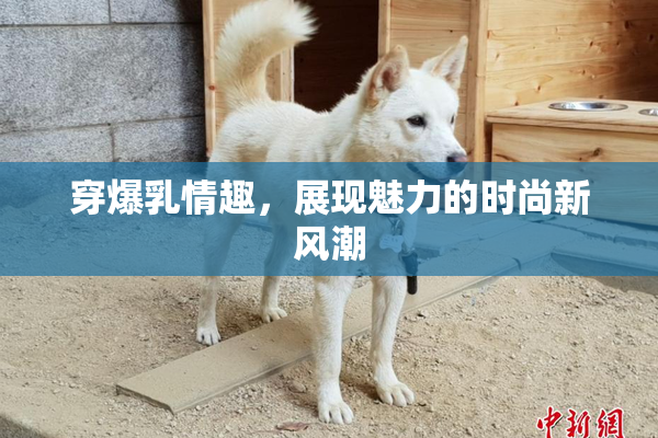 穿爆乳情趣，展现魅力的时尚新风潮