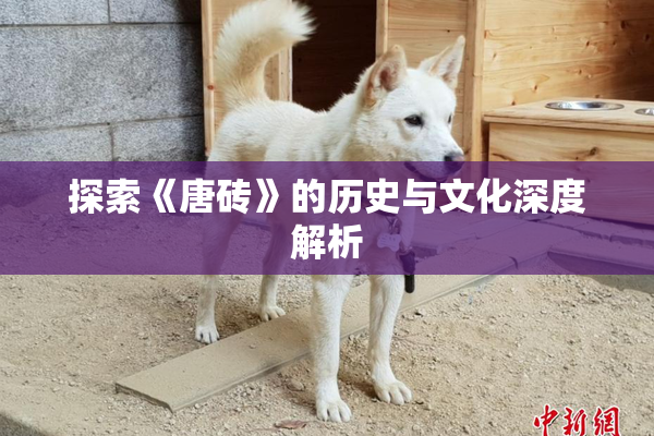 探索《唐砖》的历史与文化深度解析