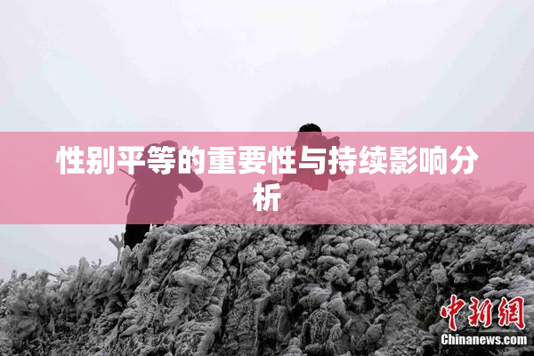 性别平等的重要性与持续影响分析
