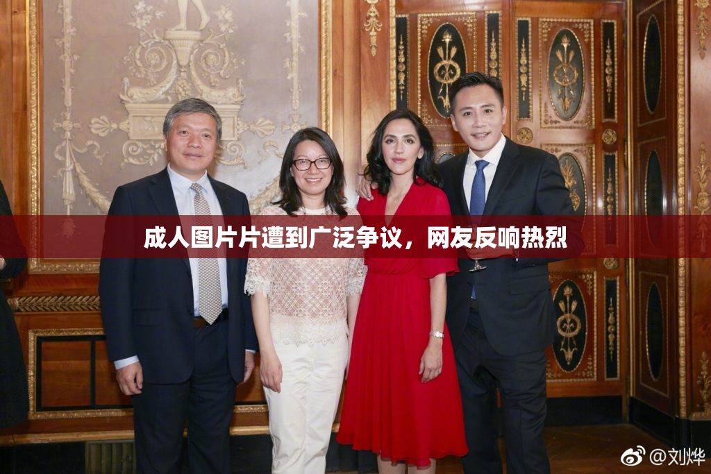 成人图片片遭到广泛争议，网友反响热烈
