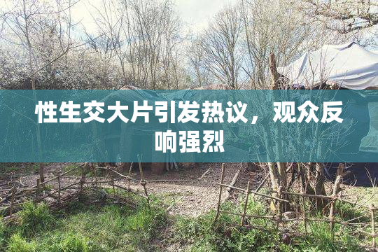 性生交大片引发热议，观众反响强烈