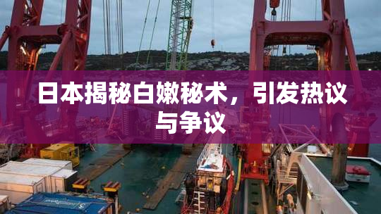 日本揭秘白嫩秘术，引发热议与争议