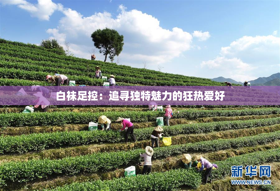 白袜足控：追寻独特魅力的狂热爱好