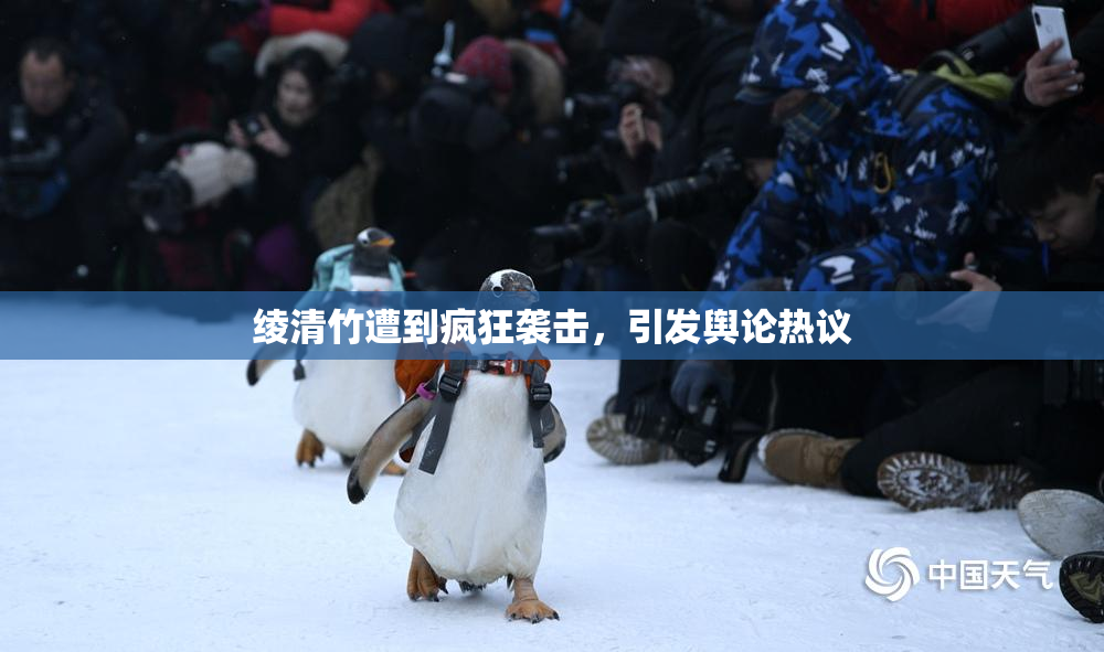 绫清竹遭到疯狂袭击，引发舆论热议