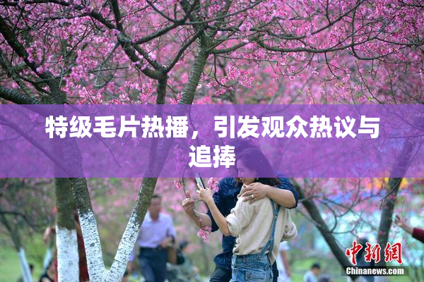 特级毛片热播，引发观众热议与追捧