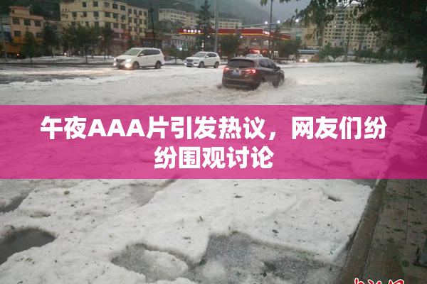 午夜AAA片引发热议，网友们纷纷围观讨论