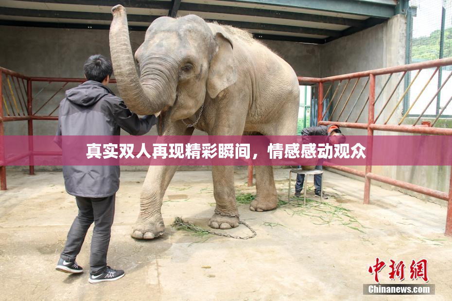 真实双人再现精彩瞬间，情感感动观众