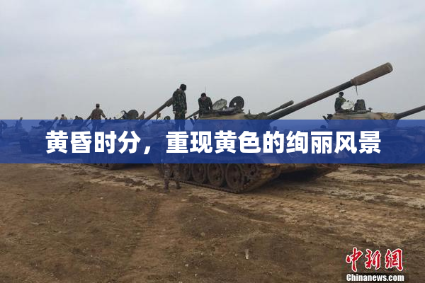黄昏时分，重现黄色的绚丽风景