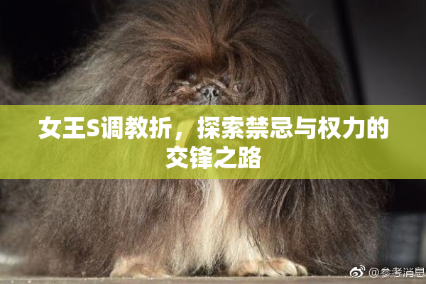 女王S调教折，探索禁忌与权力的交锋之路