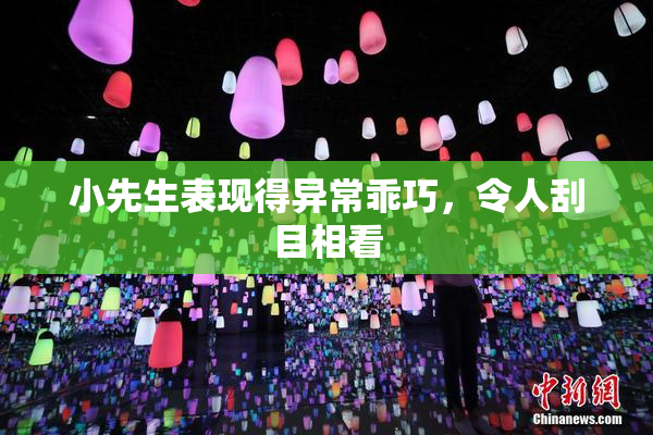 小先生表现得异常乖巧，令人刮目相看