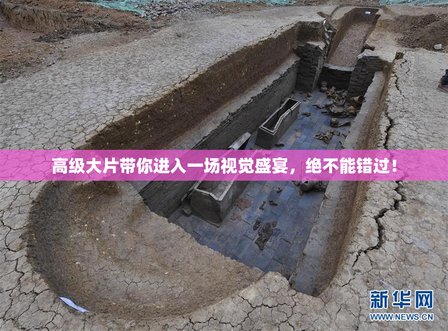 高级大片带你进入一场视觉盛宴，绝不能错过！