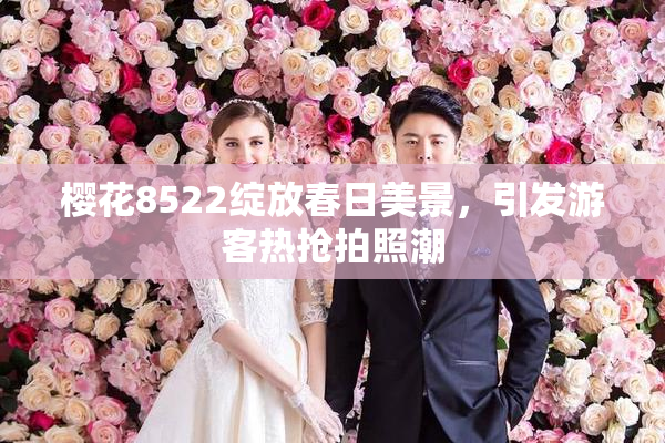 樱花8522绽放春日美景，引发游客热抢拍照潮
