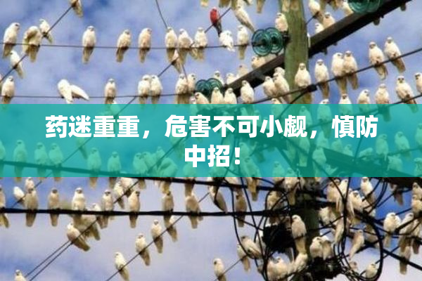 药迷重重，危害不可小觑，慎防中招！