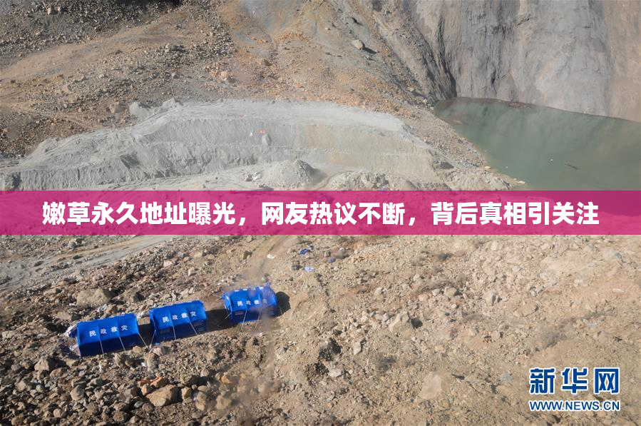 嫩草永久地址曝光，网友热议不断，背后真相引关注