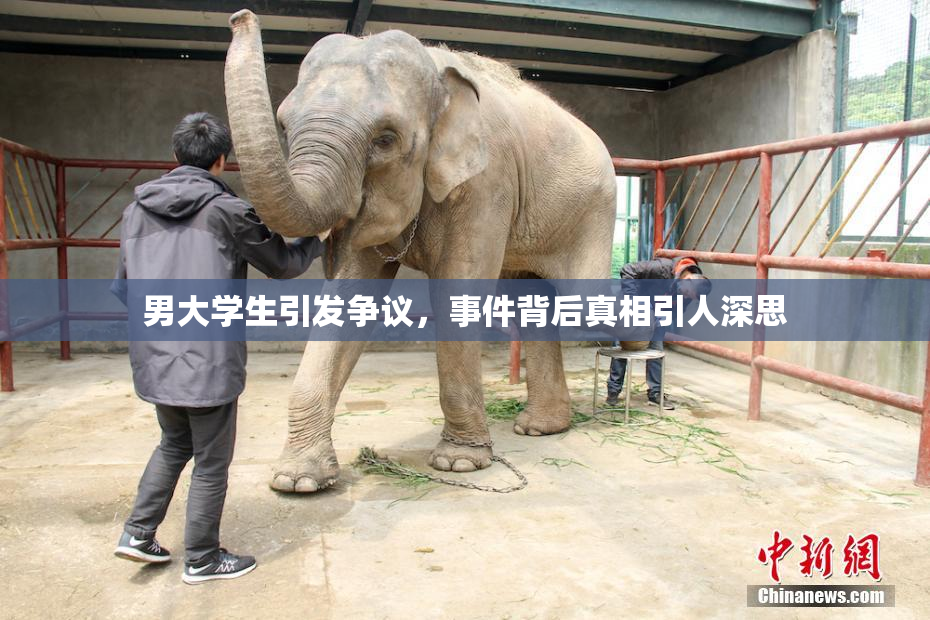 男大学生引发争议，事件背后真相引人深思