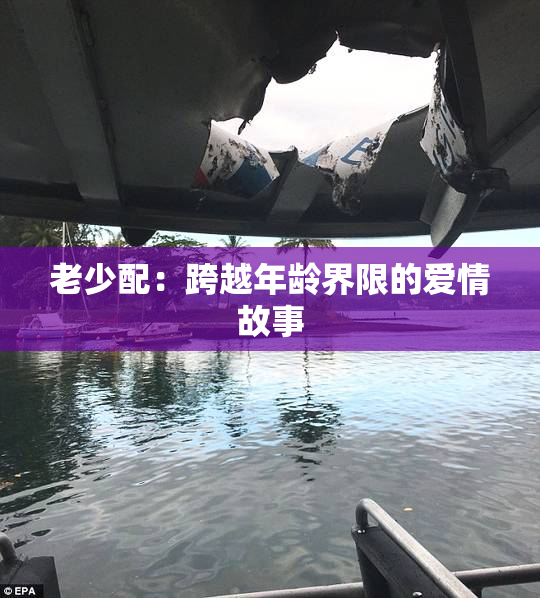 老少配：跨越年龄界限的爱情故事