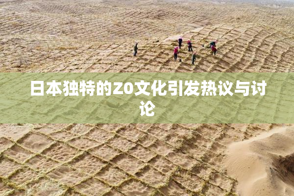 日本独特的Z0文化引发热议与讨论