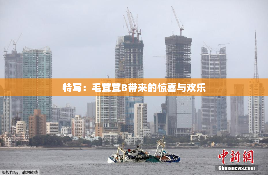 特写：毛茸茸B带来的惊喜与欢乐