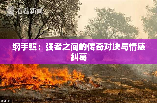 纲手照：强者之间的传奇对决与情感纠葛