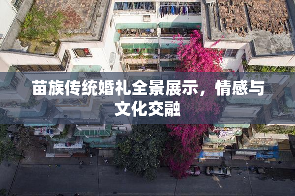 苗族传统婚礼全景展示，情感与文化交融