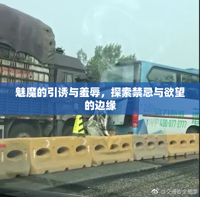 魅魔的引诱与羞辱，探索禁忌与欲望的边缘