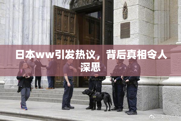 日本ww引发热议，背后真相令人深思