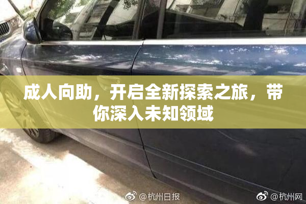 成人向助，开启全新探索之旅，带你深入未知领域
