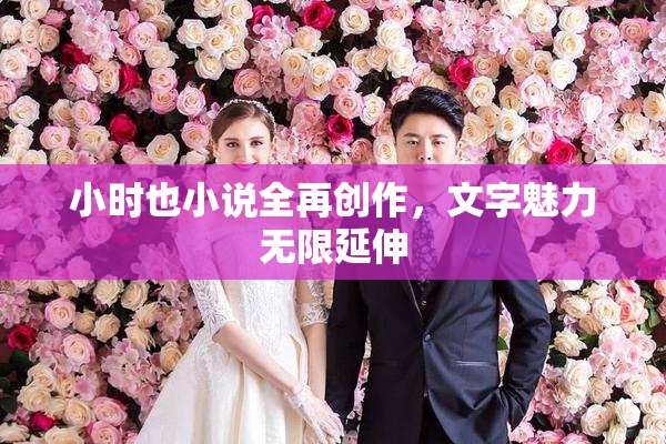 小时也小说全再创作，文字魅力无限延伸