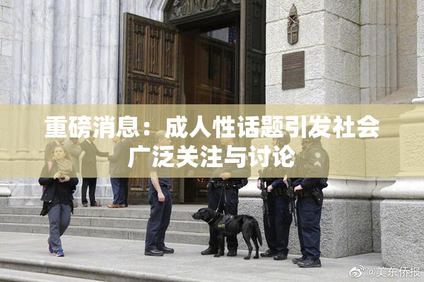 重磅消息：成人性话题引发社会广泛关注与讨论