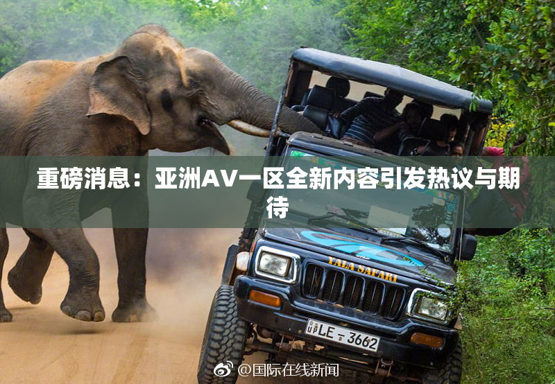 重磅消息：亚洲AV一区全新内容引发热议与期待