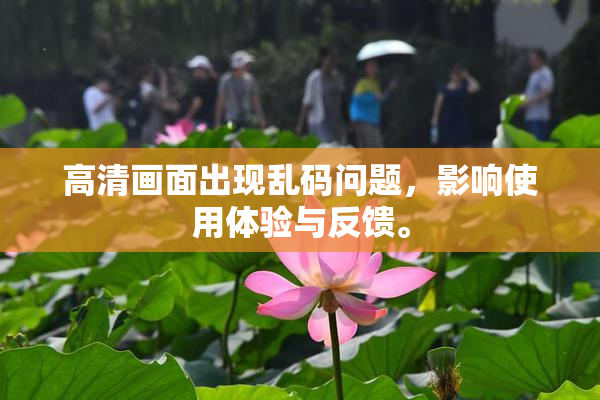 高清画面出现乱码问题，影响使用体验与反馈。